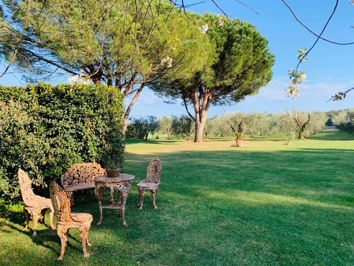 B&B Valle D'Oro Ansedónia Εξωτερικό φωτογραφία