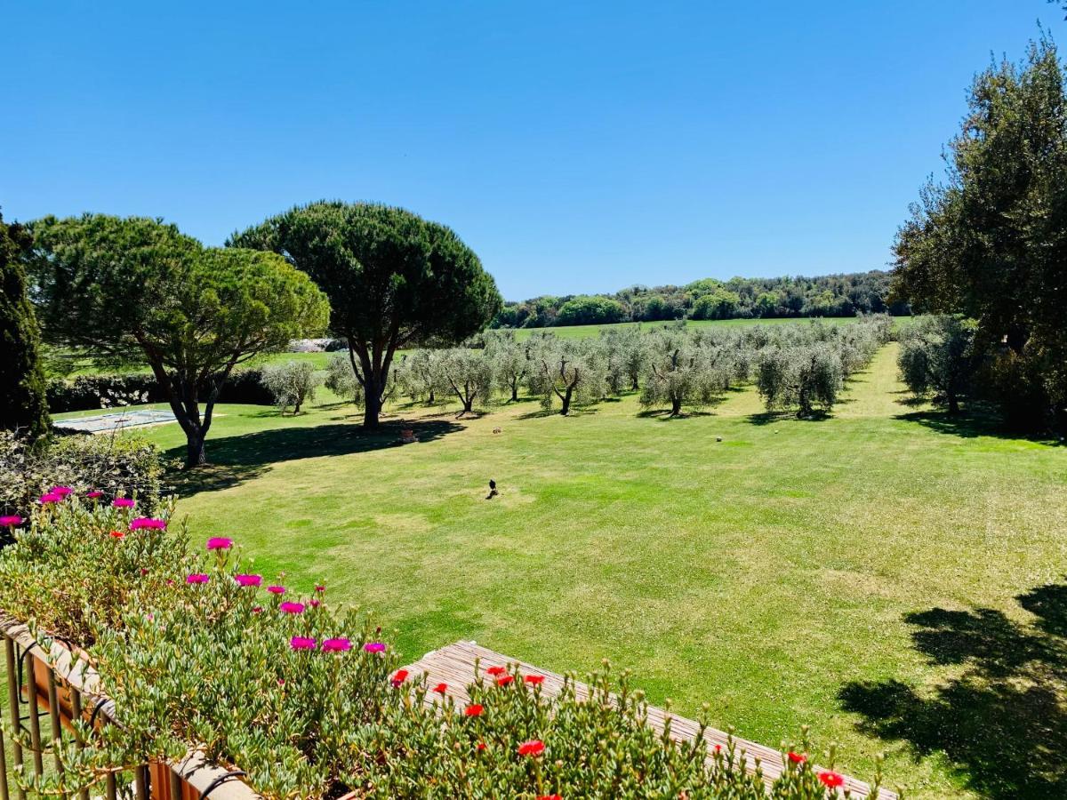 B&B Valle D'Oro Ansedónia Εξωτερικό φωτογραφία