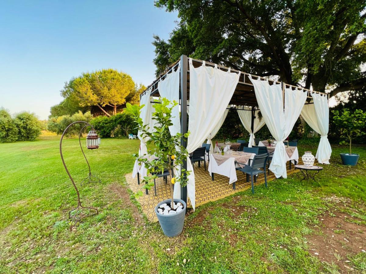 B&B Valle D'Oro Ansedónia Εξωτερικό φωτογραφία