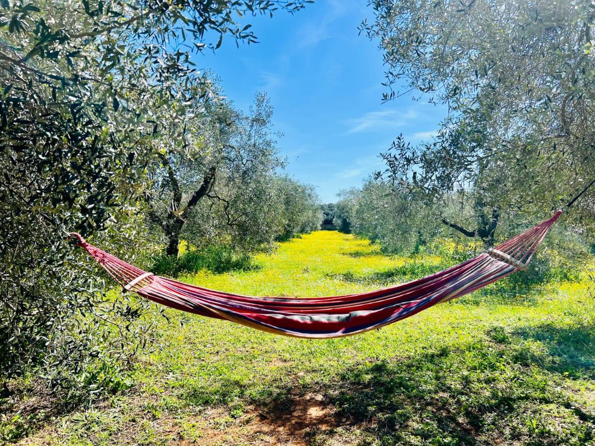 B&B Valle D'Oro Ansedónia Εξωτερικό φωτογραφία