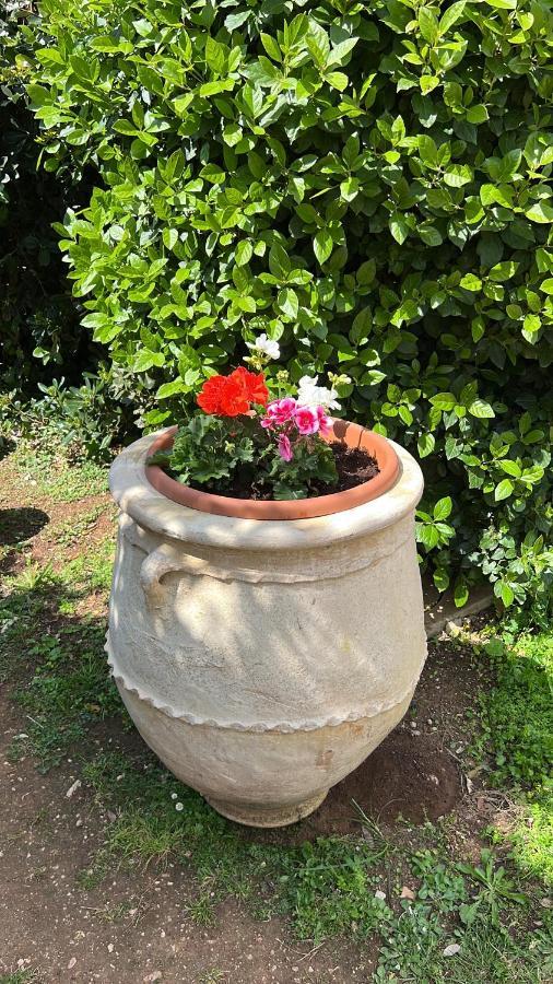 B&B Valle D'Oro Ansedónia Εξωτερικό φωτογραφία