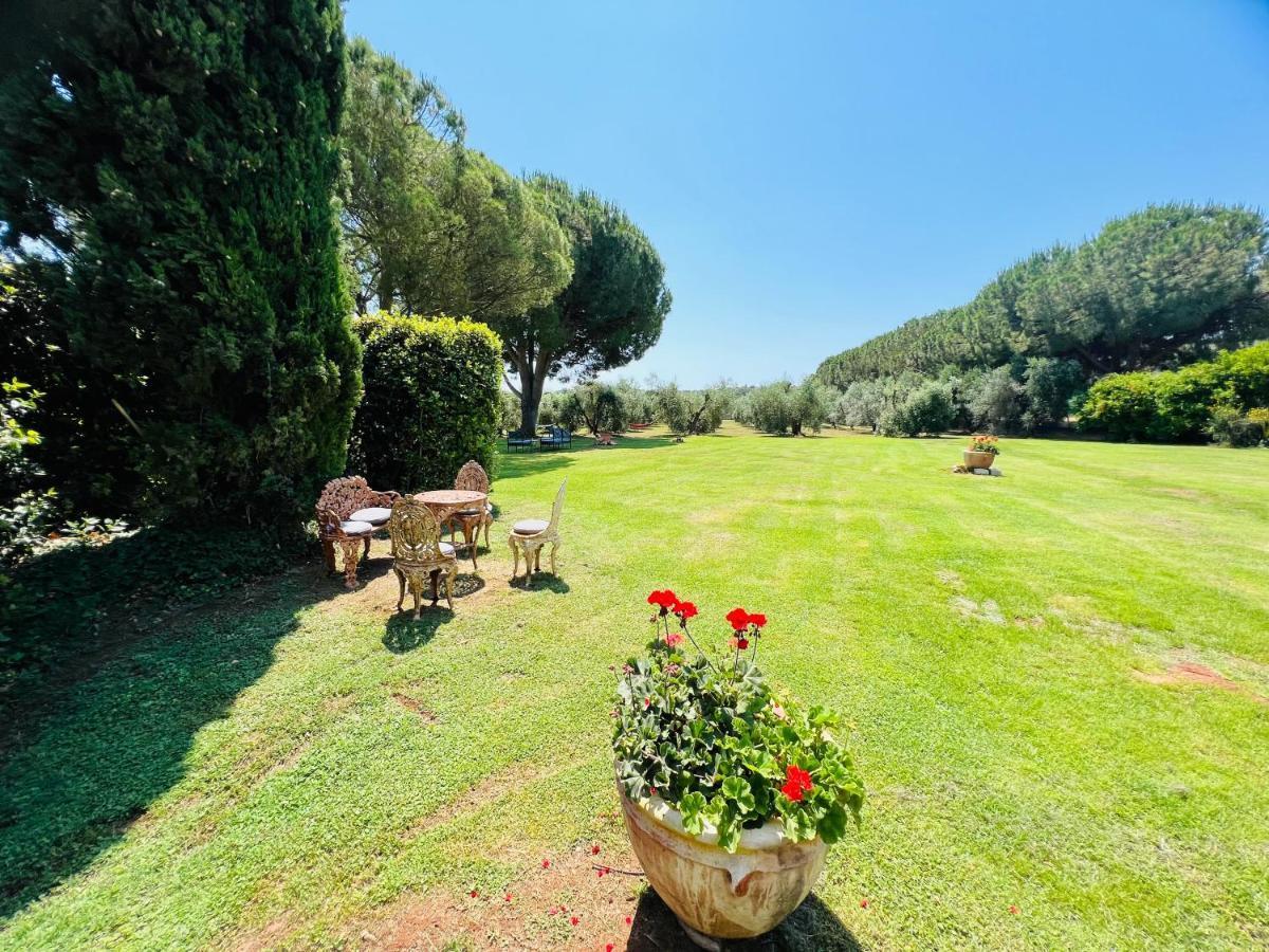 B&B Valle D'Oro Ansedónia Εξωτερικό φωτογραφία